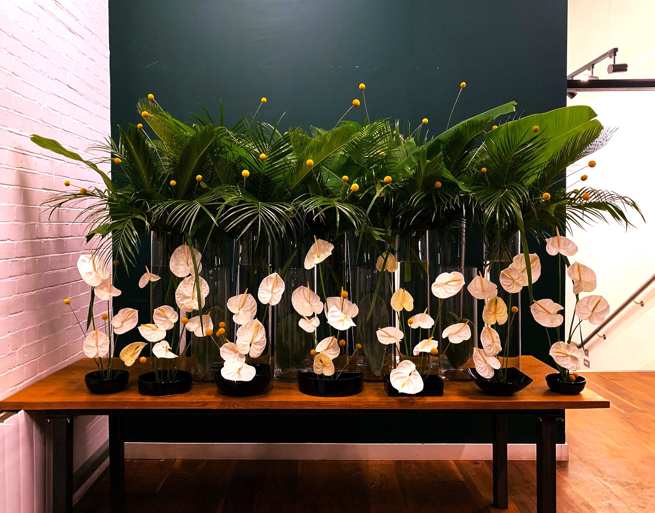 Anthurium and fern installation