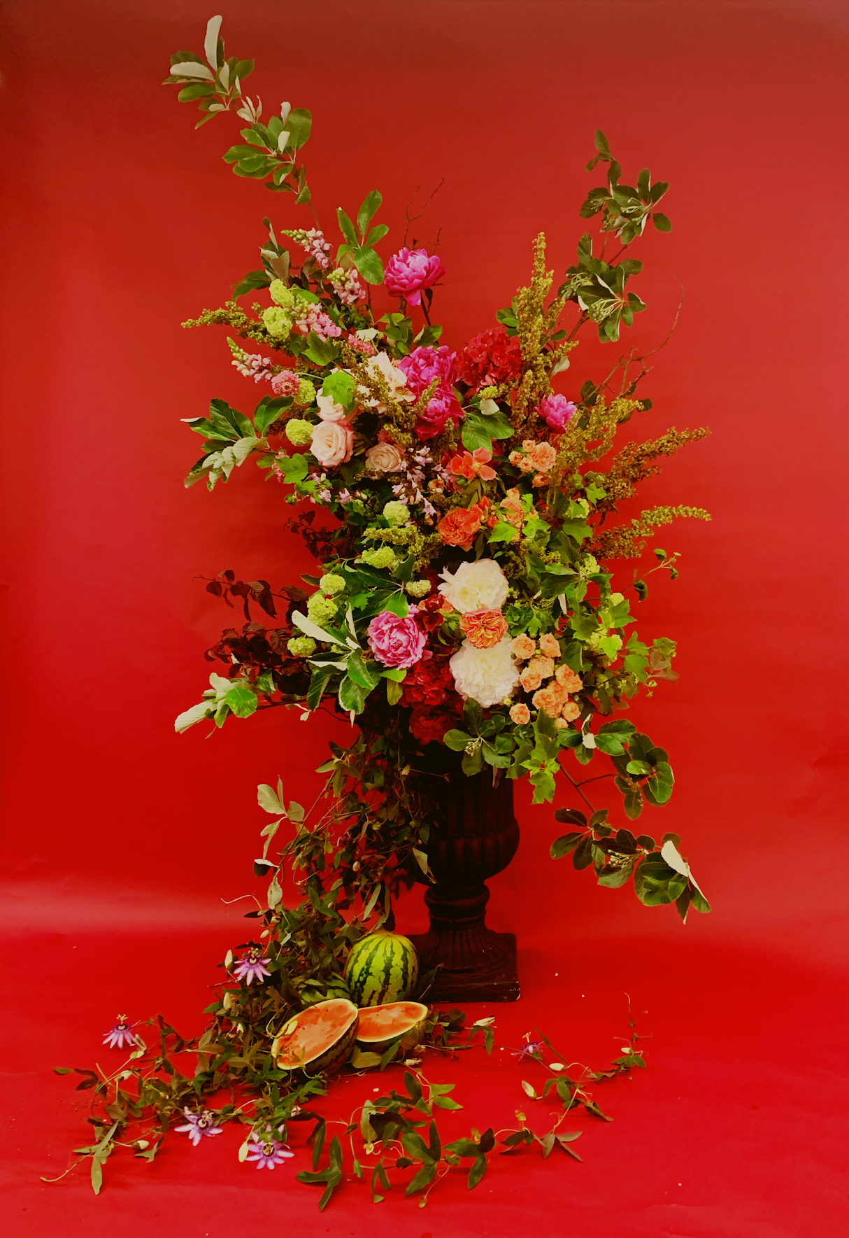 Standing arrangement against a red background