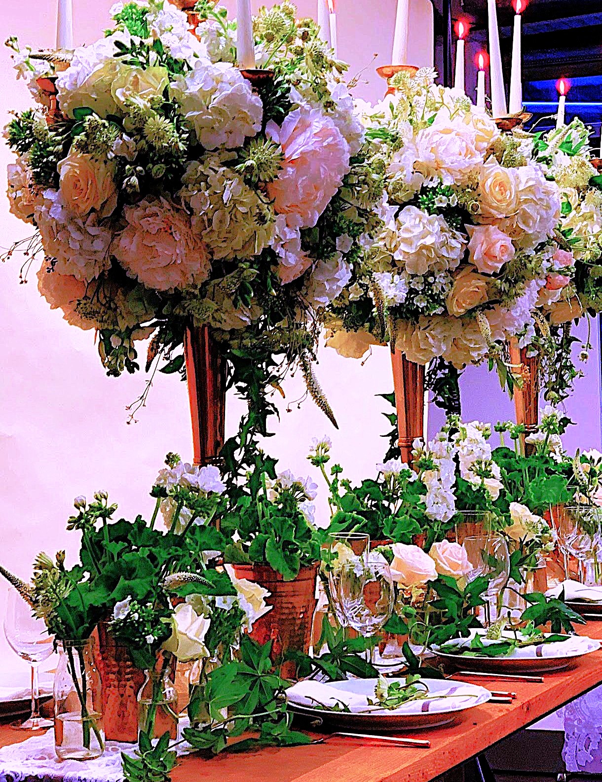 White canopy over a raised table arrangement
