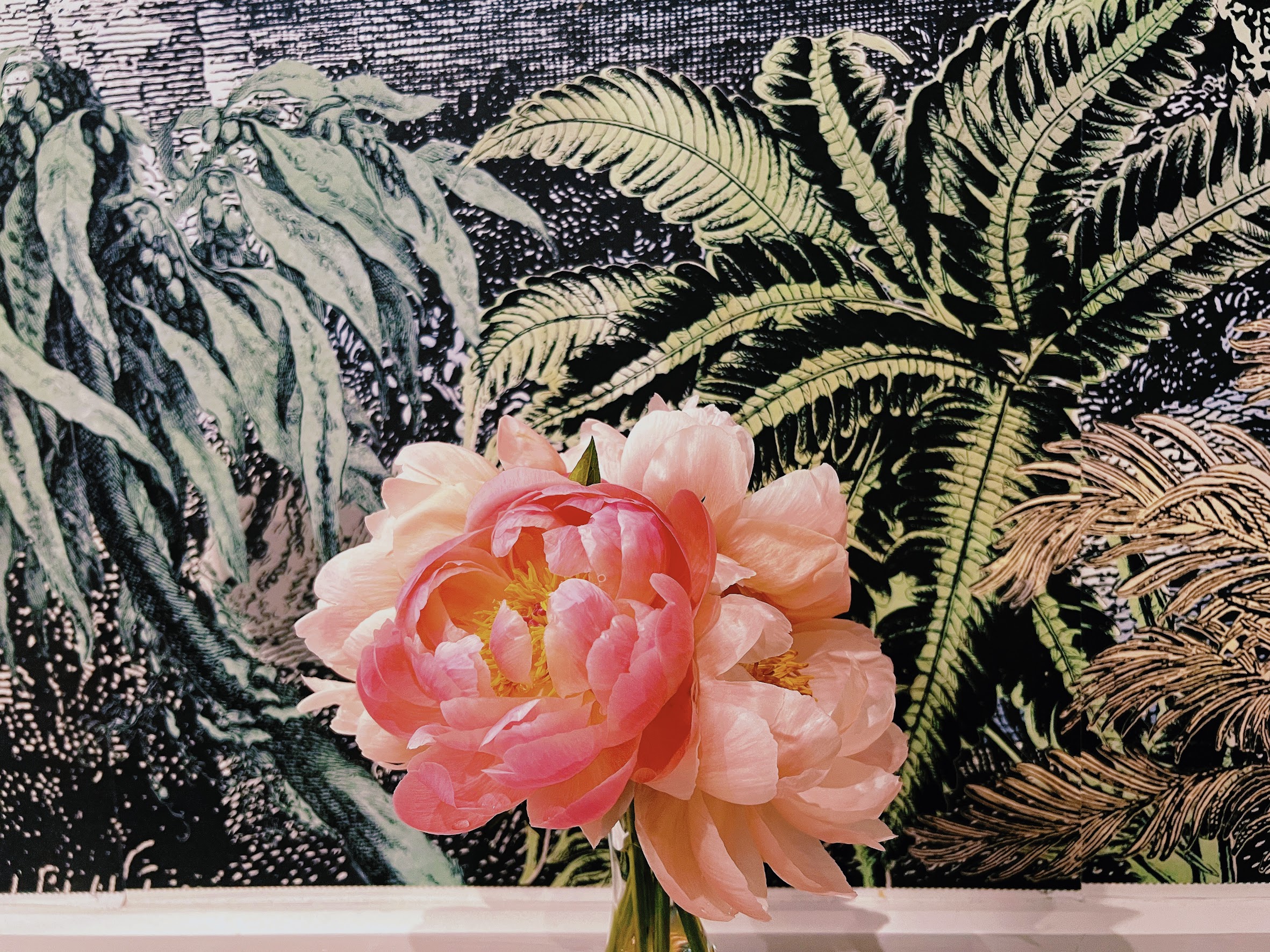 Coral peony in a vase against botanical wallpaper